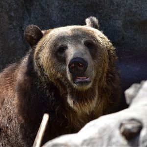 Meet your Posher, Marta